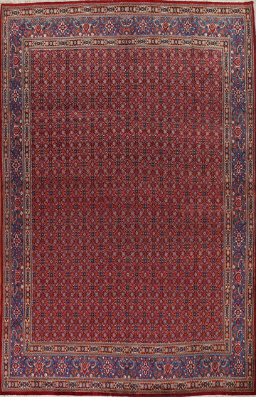 All-Over Red Mashad Persian Area Rug 10x13