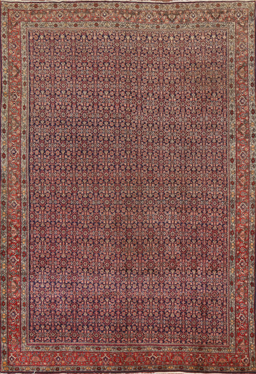 Vegetable Dye Bidjar Persian Area Rug 8x11