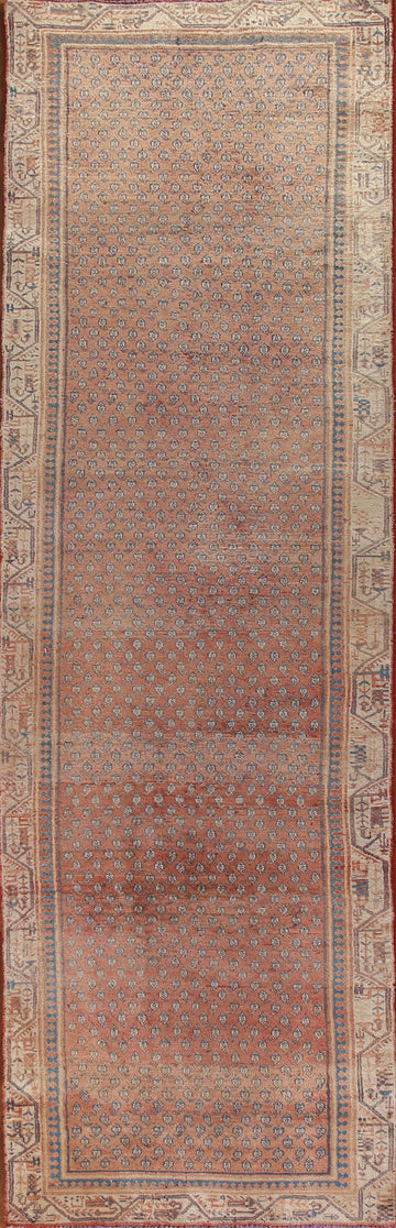 All-Over Botemir Persian Runner Rug 3x13