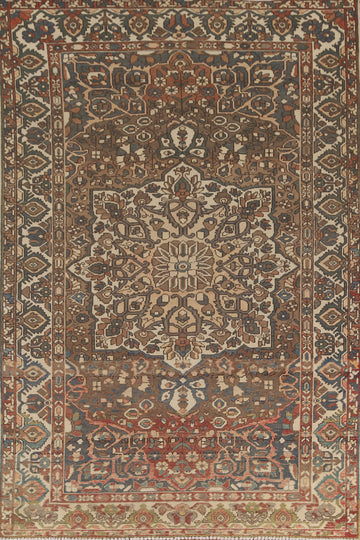 Vintage Bakhtiari Persian Area Rug 7x10