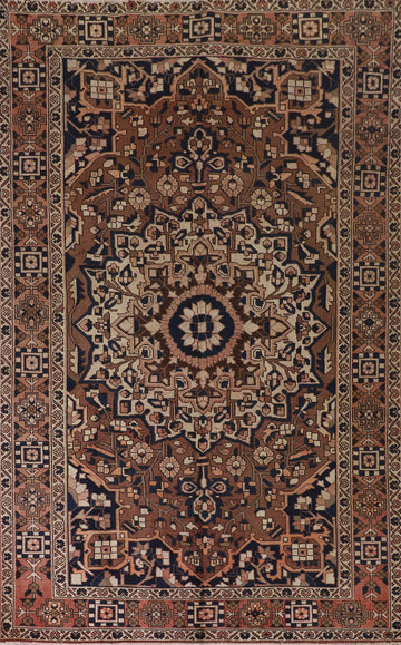 Brown Bakhtiari Persian Area Rug 7x10