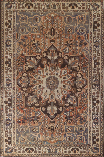 Vintage Wool Bakhtiari Persian Area Rug 7x10