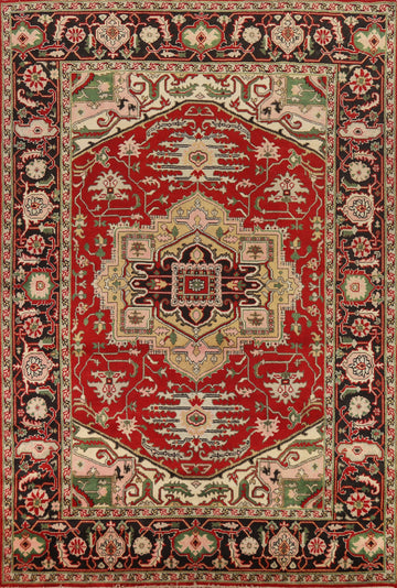 Handmade Red Heriz Serapi Oriental Area Rug 9x12