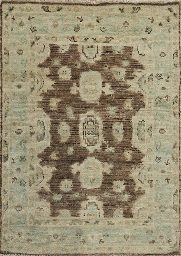 Earth Tone Oushak Vegetable Dye Rug 3x4