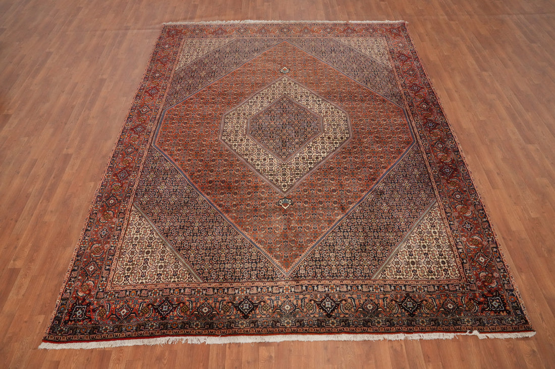 Vegetable Dye Bidjar Persian Area Rug 9x11