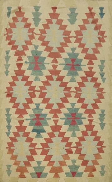 Vegetable Dye Kilim Turkish Area Rug 6x9