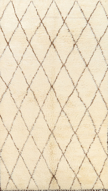 Trellis Moroccan Oriental Area Rug 6x11