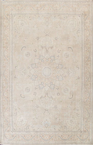 Muted Distressed Kerman Persian Area Rug 10x13