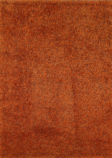 Orange Shaggy Oriental Area Rug 5x8