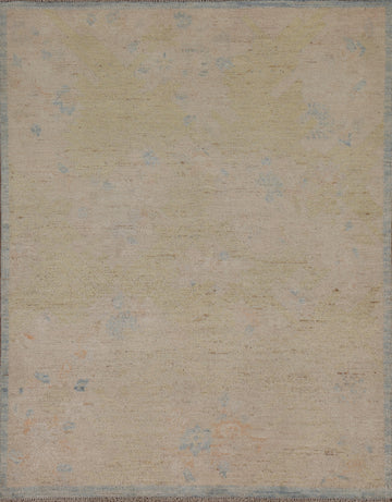 Muted Geometric Art Deco Oriental Area Rug 4x5