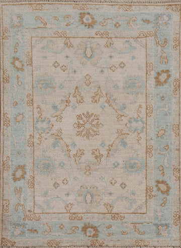 Geometric Oushak Oriental Area Rug 3x4