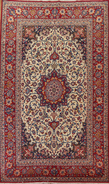 Traditional Vegetable Dye Najafabad Persian Area Rug 9x13