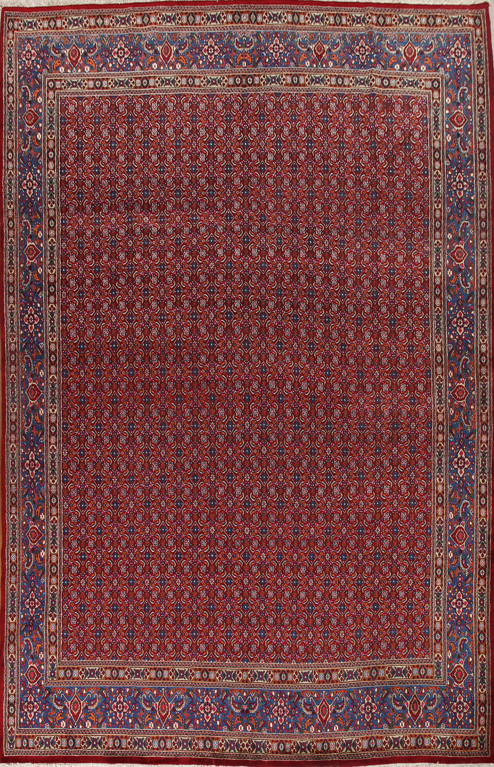 All-Over Red Mashad Persian Area Rug 10x13