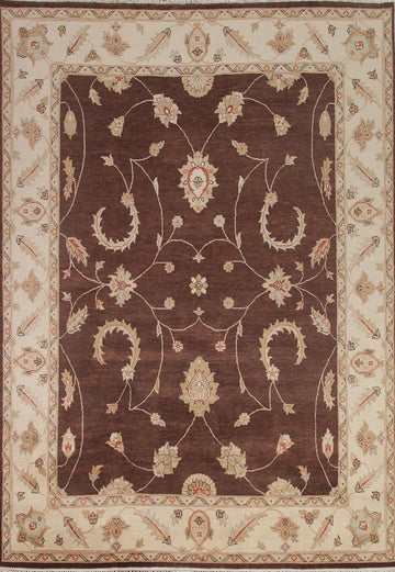 Brown Chobi Peshawar Oriental Area Rug 8x10