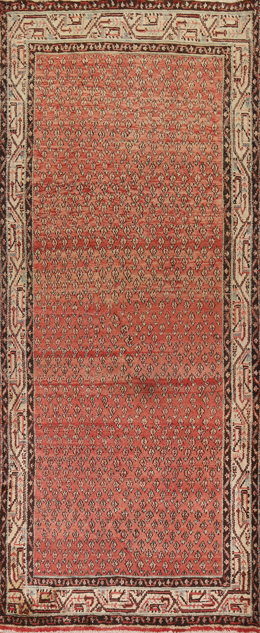 All-Over Botemir Persian Runner Rug 4x9