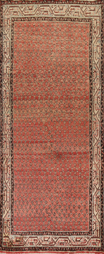 All-Over Botemir Persian Runner Rug 4x9