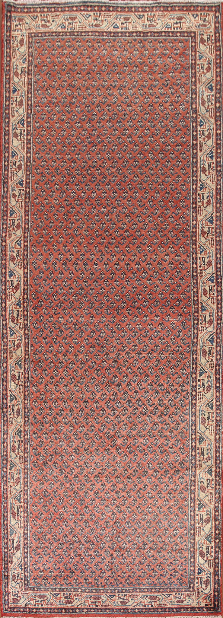 All-Over Botemir Persian Runner Rug 4x11