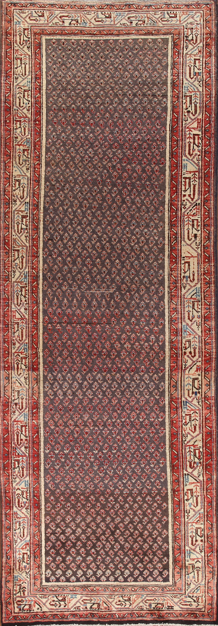 All-Over Botemir Persian Runner Rug 3x10