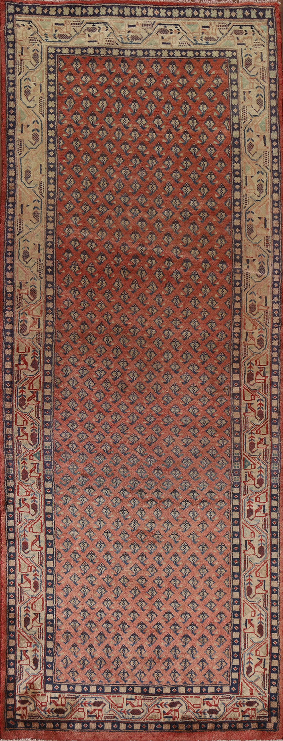 All-Over Botemir Persian Runner Rug 3x10