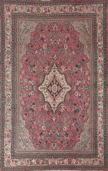 Pink Wool Hamedan Persian Area Rug 6x9