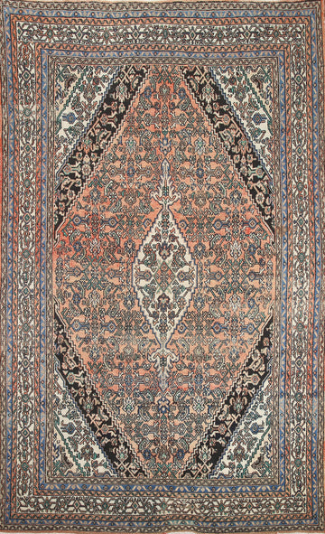 Geometric Wool Hamedan Persian Area Rug 7x10