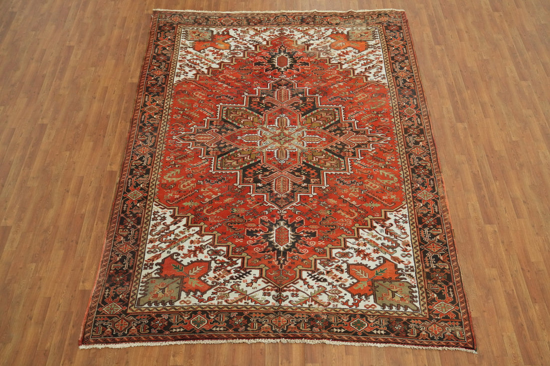 Geometric Heriz Persian Area Rug 8x11