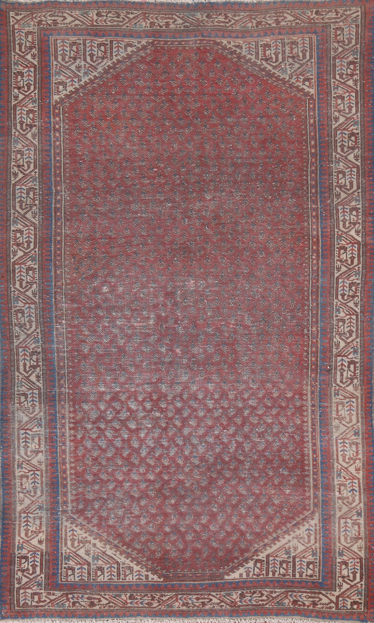 Boteh Wool Botemir Persian Area Rug 4x6