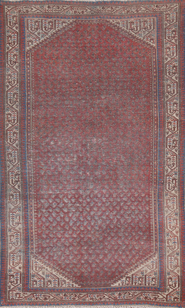 Boteh Wool Botemir Persian Area Rug 4x6