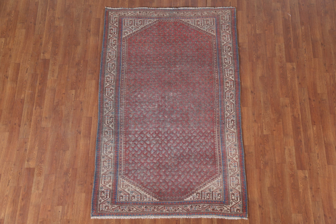 Boteh Wool Botemir Persian Area Rug 4x6