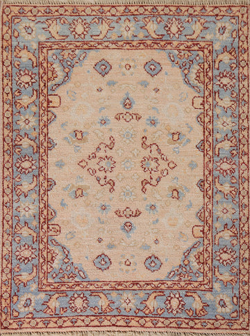 Vegetable Dye Oushak Turkish Accent Rug 3x4