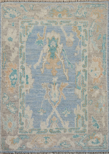 Blue Oushak Vegetable Dye Accent Rug 2x3
