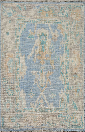 Blue Oushak Vegetable Dye Accent Rug 2x3