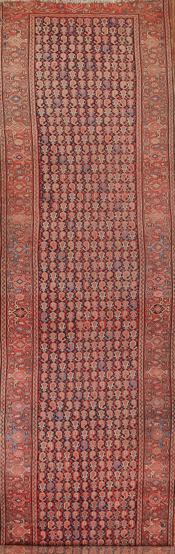 Vegetable Dye Pre-1900 Antique Malayer Persian Runner Rug 4x18