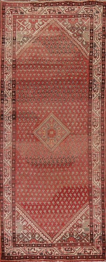 Botemir Persian Runner Rug 4x10