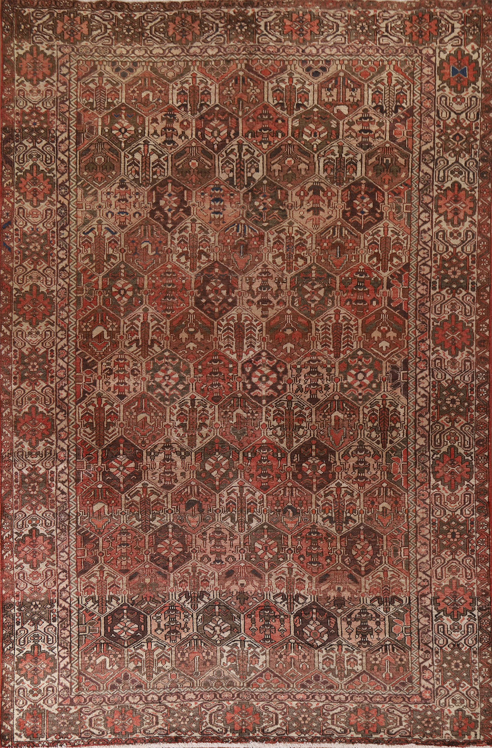 Garden Design Bakhtiari Persian Area Rug 7x10