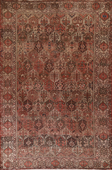 Garden Design Bakhtiari Persian Area Rug 7x10