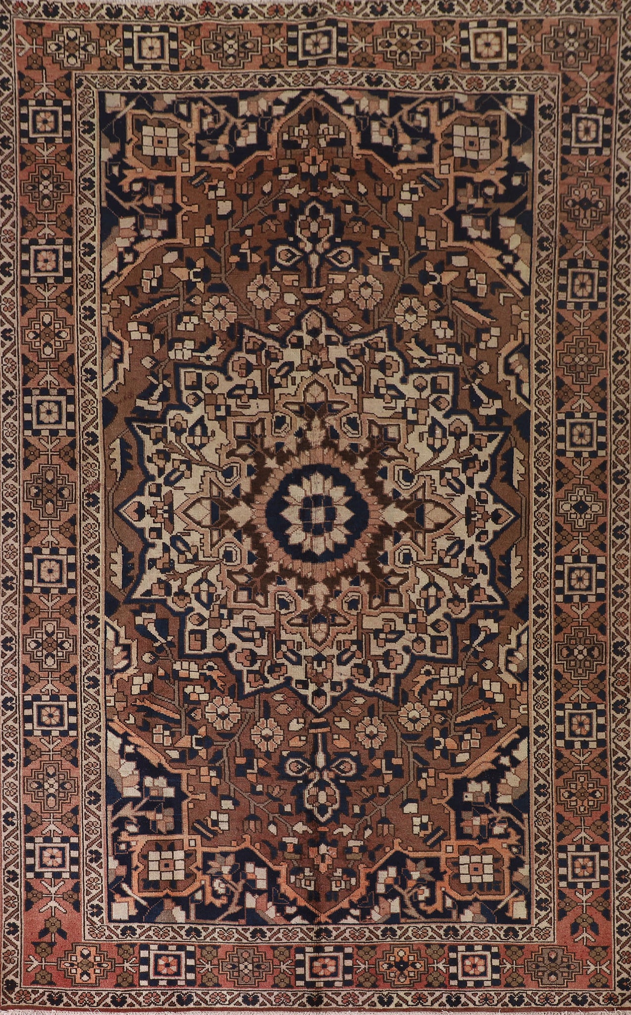Brown Bakhtiari Persian Area Rug 7x10