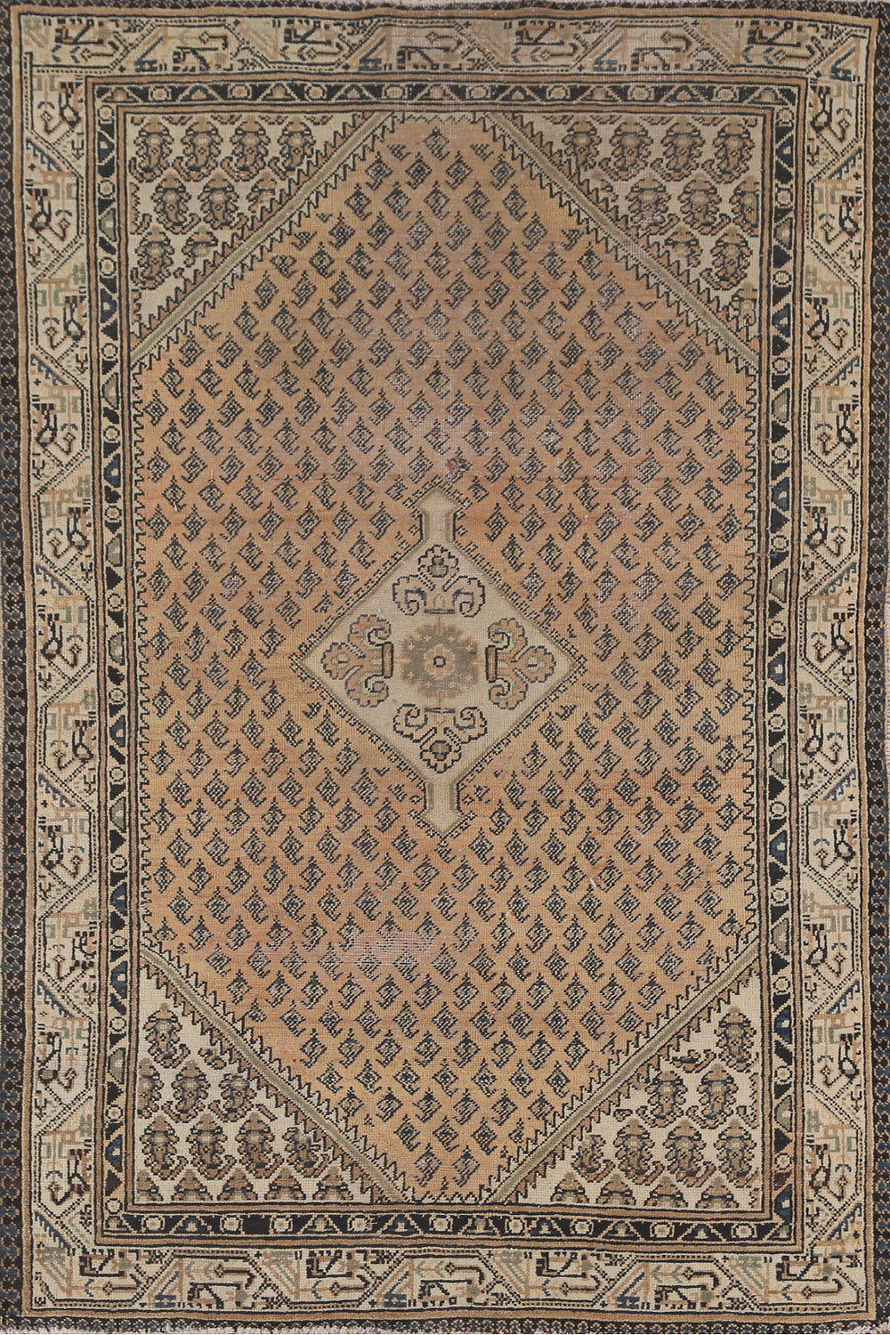 Geometric Botemir Persian Rug 4x7