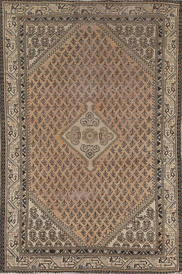 Geometric Botemir Persian Rug 4x7