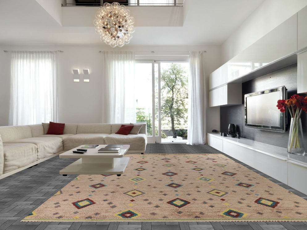 Geometric Moroccan Large Oriental Rug 12x19