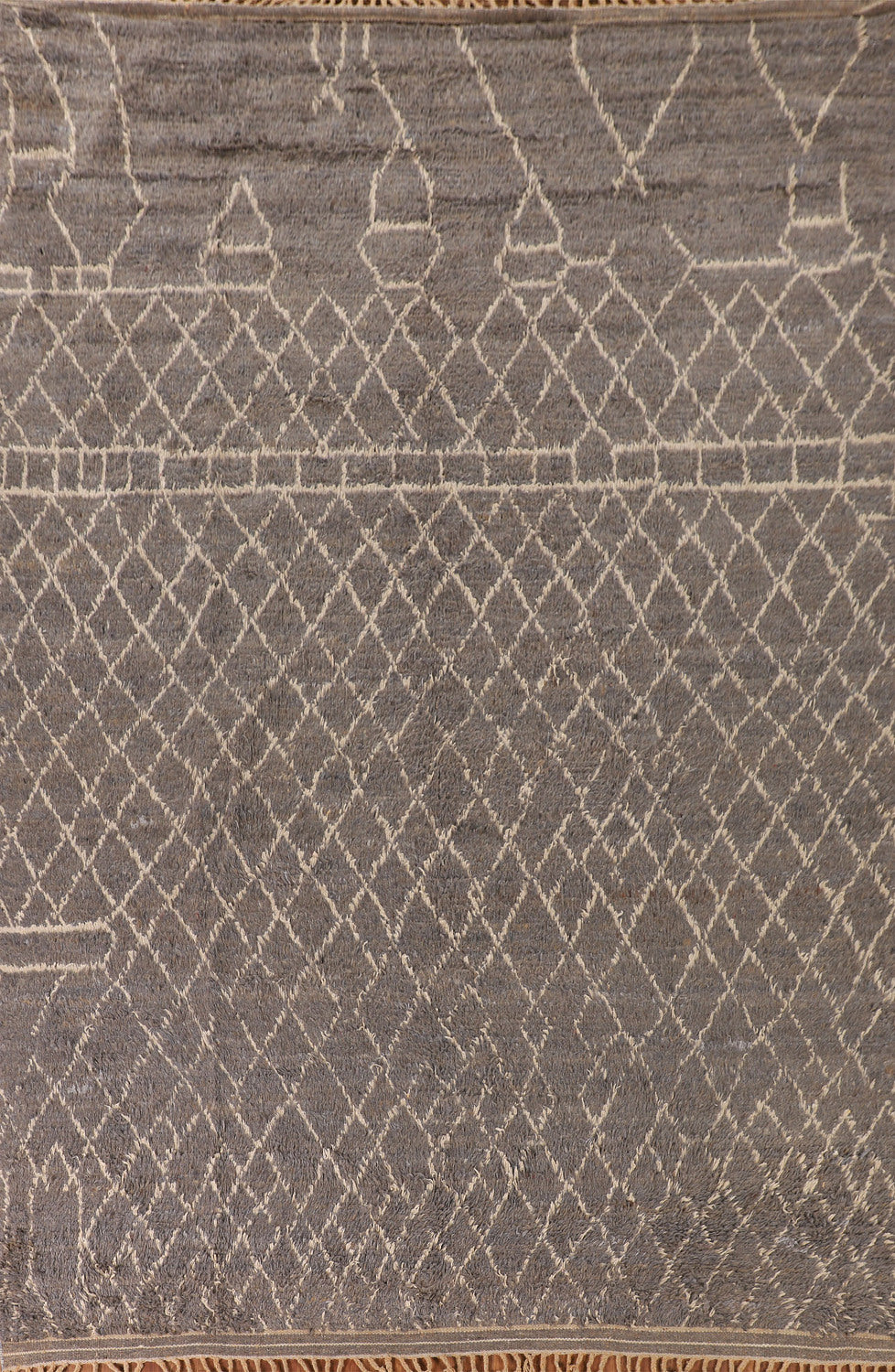 Trellis Moroccan Oriental Area Rug 8x11