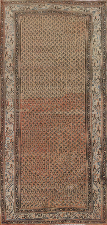 Distressed Wool Botemir Persian Area Rug 5x11