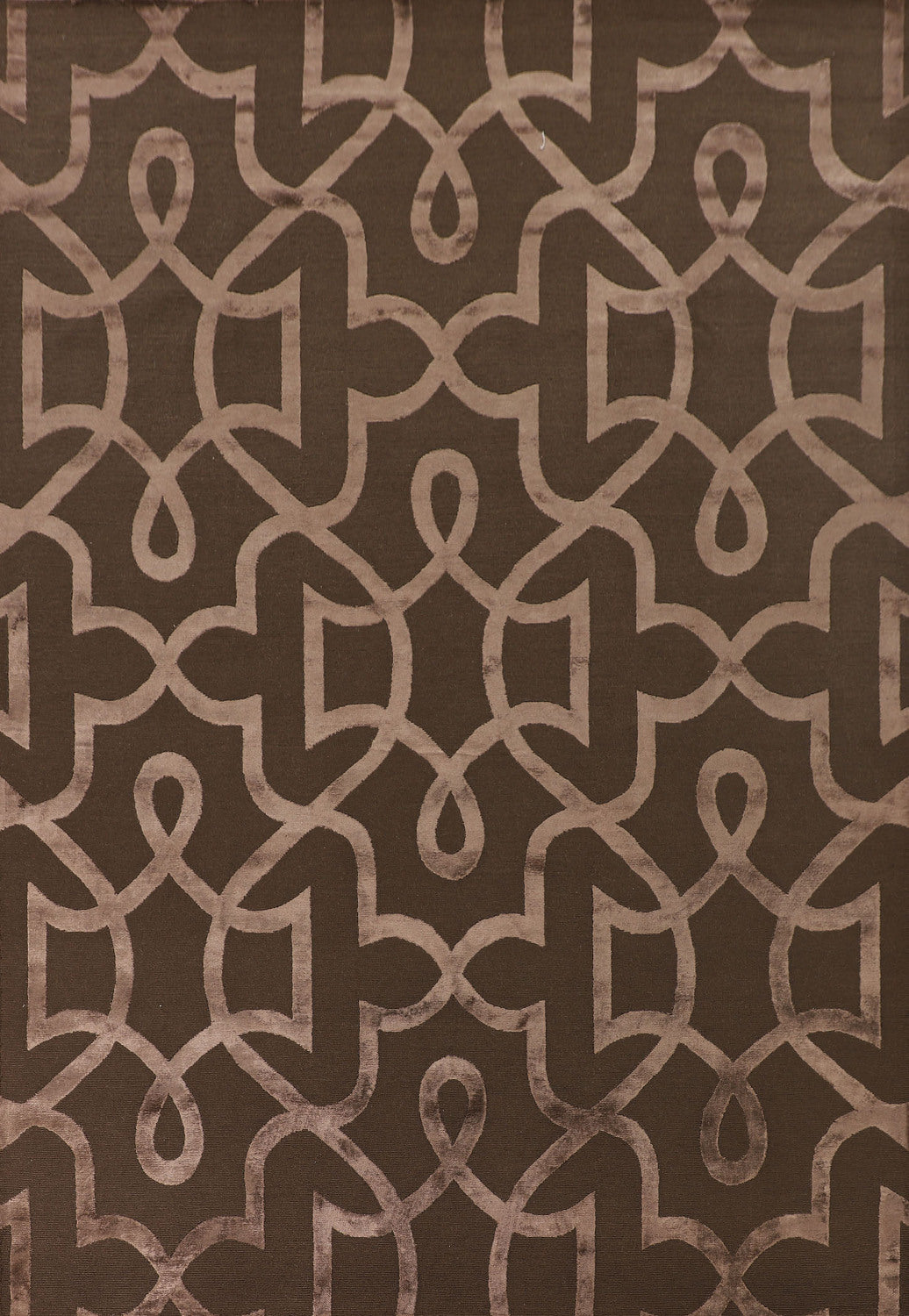 Brown Nepalese Indian Area Rug 9x12