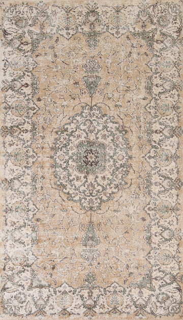 Distressed Wool Sparta Oriental Area Rug 5x9