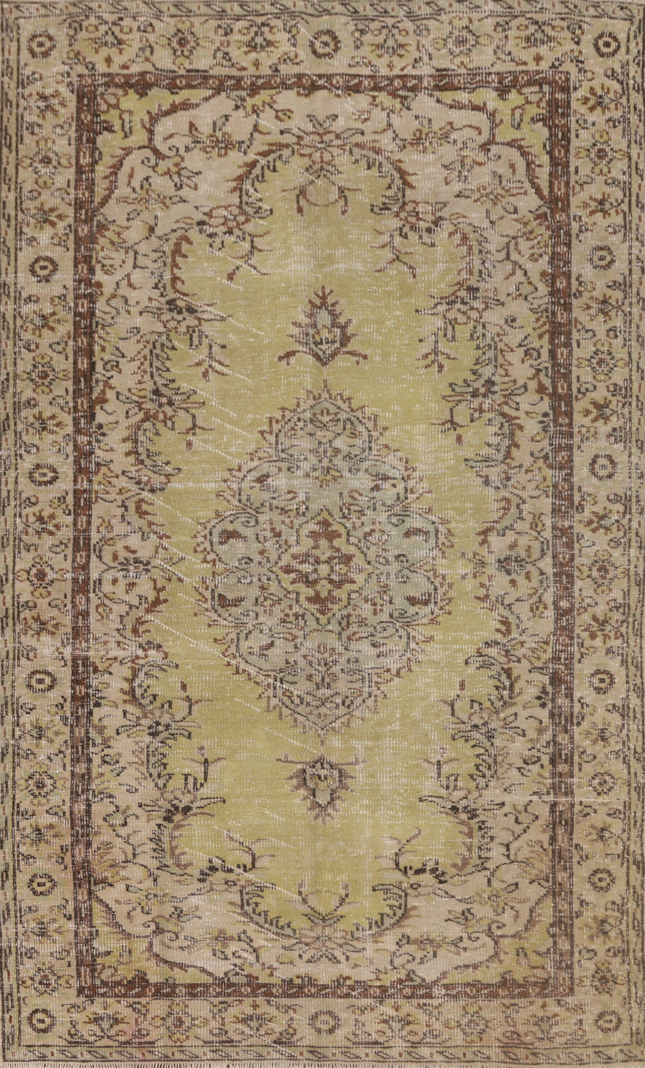 Light Green Anatolian Distressed Area Rug 6x9