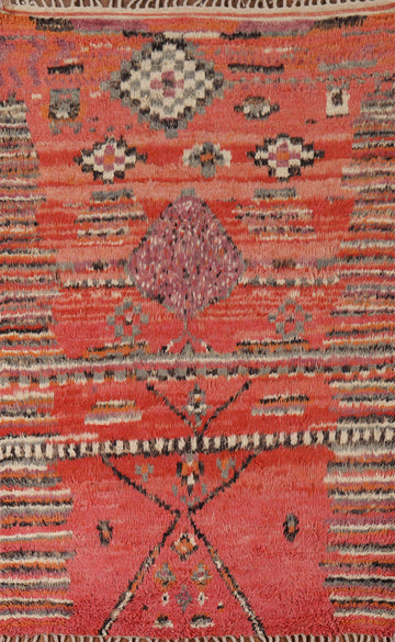 Tribal Geometric Moroccan Oriental Area Rug 6x9