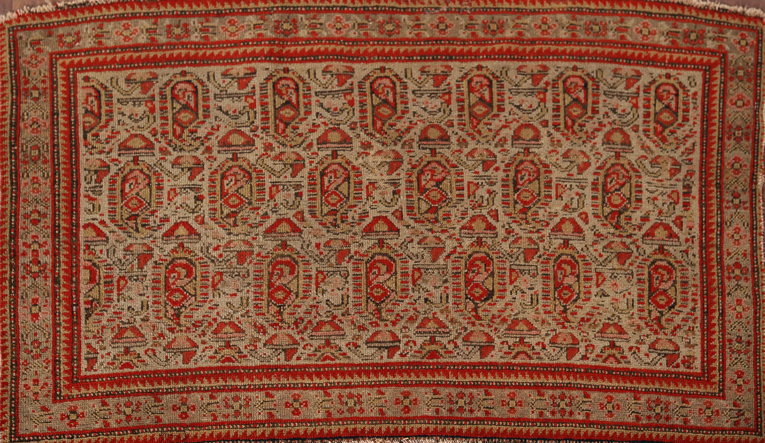 Pre-1900 Antique Senneh Vegetable Dye Persian Rug 2x3