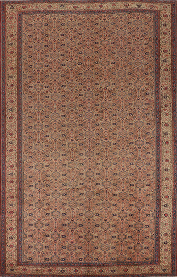 All-Over Floral Anatolian Turkish Area Rug 8x12