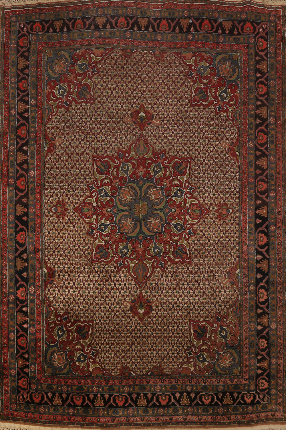 Vintage Wool Medallion Serab Persian Area Rug 7x10