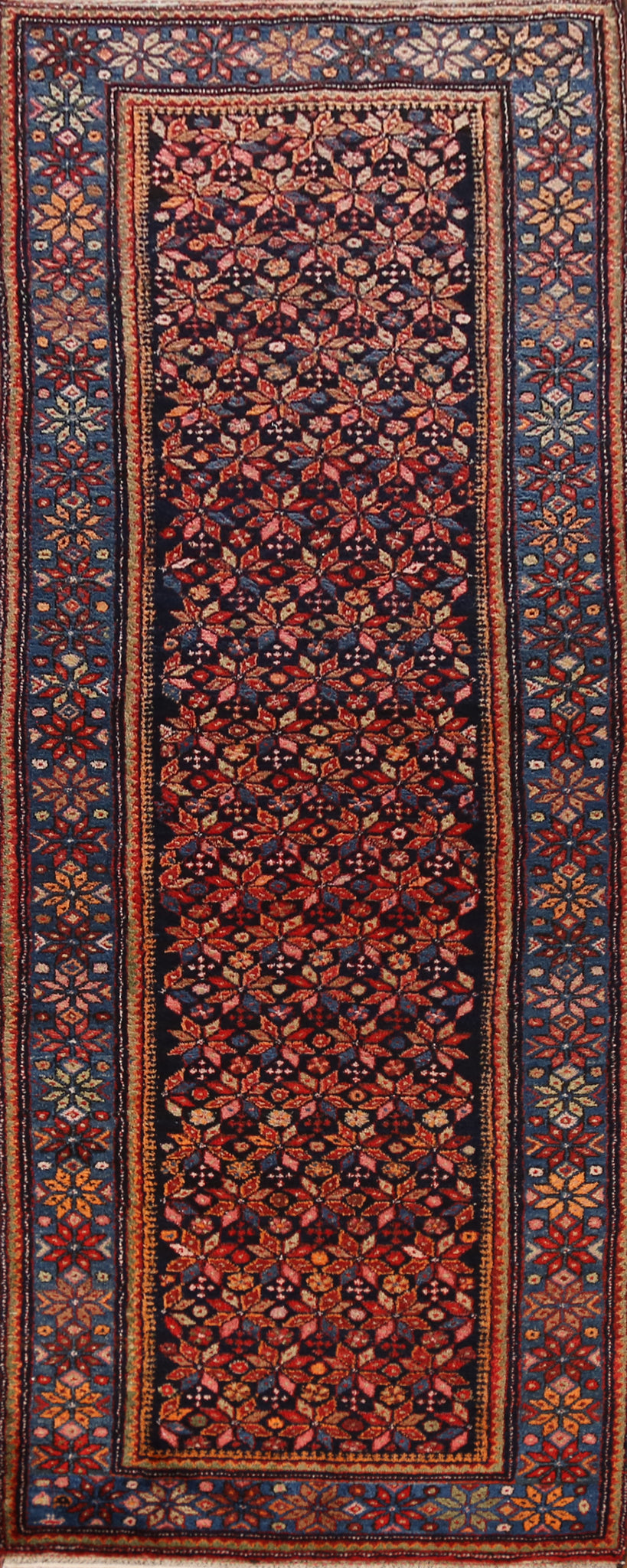 Vegetable Dye Malayer Persian Runner Rug 4x10